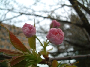 02-07