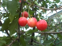 11-01
