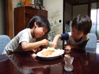 06-03