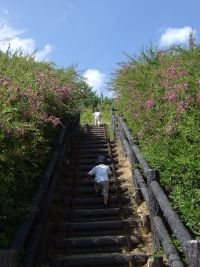 09-04