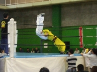 05-01.jpg