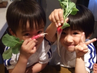 04-01