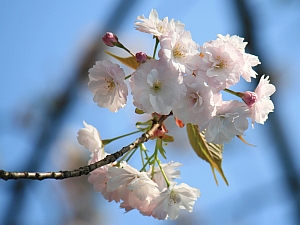 04-01