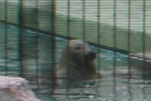 11-05